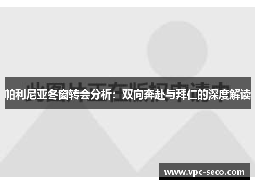 帕利尼亚冬窗转会分析：双向奔赴与拜仁的深度解读