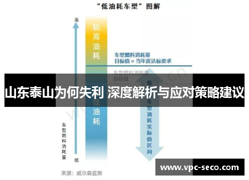 山东泰山为何失利 深度解析与应对策略建议