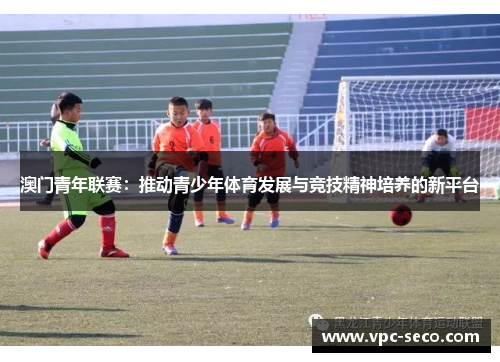 澳门青年联赛：推动青少年体育发展与竞技精神培养的新平台