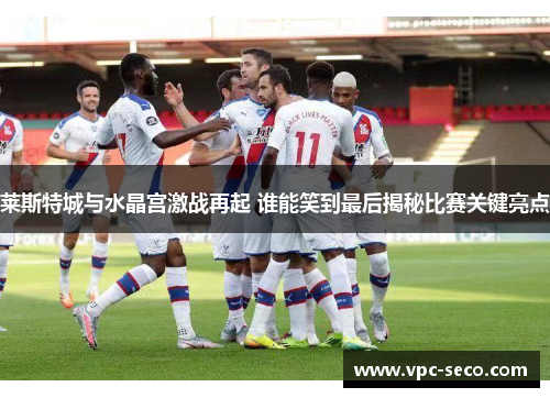 莱斯特城与水晶宫激战再起 谁能笑到最后揭秘比赛关键亮点