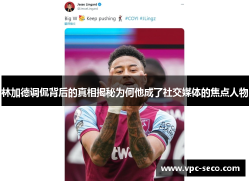 林加德调侃背后的真相揭秘为何他成了社交媒体的焦点人物